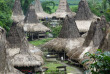 Indonésie - Village traditionnel de Sumba