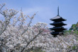 japon - Temple Ninna ji © Kyoto Convention Bureau - JNTO