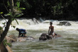 Laos - Le bain des éléphants dans la chute de Tad Lo
