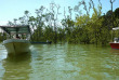 Malaisie - Circuit Les Trésors de Bornéo - La mangrove