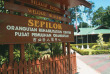 Malaisie - Circuit Les classiques de Bornéo - Le centre de réhabilitation de Sepilok