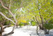 Maldives - LUX* South Ari Atoll Resort & Villas - Belle nature