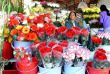 Vietnam - Les hauts plateaux du centre - Le marché aux fleurs
