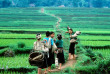 Vietnam - Les ethnies de Mai Chau - Les villages ethniques de Mai Chau