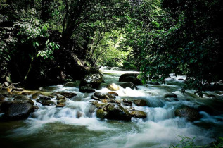 Malaisie - A la découverte du Taman Négara - Les rivières du Taman Negara