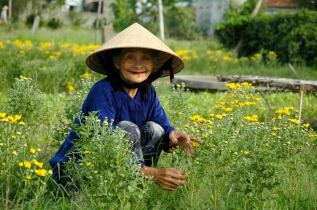 Vietnam - Ferme organique à Hoi An