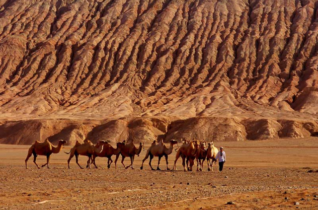 Chine - Caravane dans le désert du Gansu © CNTA