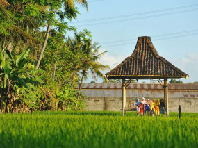 Indonésie - Jogjakarta - d'Omah Hotel Yogyakarta - Gazebo dans les rizières face à l'hôtel