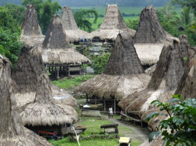 Indonésie - Village traditionnel de Sumba