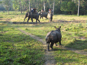 Népal – Safari à dos d'éléphant dans le Parc national du Chitwan © Machan Country Villa