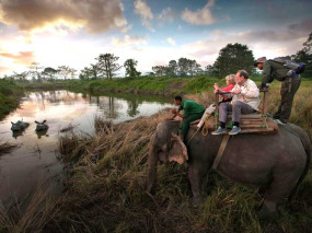 Népal - Safari à dos d'éléphant dans le Parc national du Chitwan © Kasara Resort