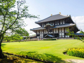japon - Le temple Todaiji © Finallast - Shutterstock
