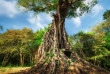 Cambodge – Kampong Thom © Perfect Lazybones – Shutterstock