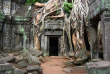 Cambodge - Le temple du Ta Phrom à Angkor