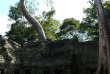 Cambodge - Le temple du Ta Phrom à Angkor