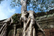 Cambodge - Le temple du Ta Phrom à Angkor