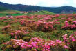 Chine - Yunnan - La vallée de Shangri La © Yunnan Provincial Tourisme Administration