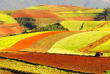 Chine - Les terres rouges du Yunnan