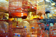 Hong Kong - Marchs et temple de Kowloon © iStock, Yoyoshow23