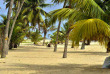 Inde - Kochi - Mararikulam - Abad Turtle Beach