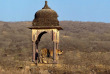 Inde - Sur les pas des maharajas – Ranthambore © Incredible India