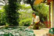 Indonésie - Bali - Ubud - Kupu Kupu Barong Villas and Tree Spa - Villa Pool