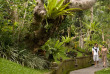 Indonésie - Bali - Ubud - Pitah Maha Resort and Spa - Jardins