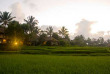 Indonésie - Bali - Ubud - Wapa di Ume Resort & Spa - Vue sur les rizières