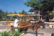 Indonésie - Gili Trawangan - Vila Ombak - Transport en Cidomo