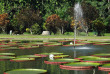 Indonésie - Java - Le jardin botanique de Bogor © Frank B. Yuwono – Shutterstock