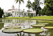 Indonésie - Le jardin botanique de Bogor © ONT Indonésie
