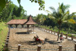 Indonésie - Jogjakarta - Plataran Borobudur Resort & Spa - Équitation