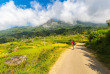 Indonésie - Sulawesi - Promenade à Sulawesi © Fabio Lamanna – Shutterstock