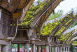 Indonésie - Sulawesi - Tongkonan d'une village Toraja © Fabio Lamanna – Shutterstock