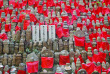 japon - Cimetière du temple Okuno-in au mont Koya © Asia Glab - Shutterstock