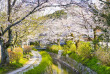 japon - Chemin de la philosophie © Sean Pavone - Shutterstock