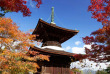 japon - Le temple Jojakko-ji © Andy - Shutterstock