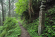 japon - Les sentiers du Mont Koya © JNTO