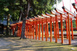 japon - La temple Izumi de Kumamoto © Yasufumi Nishi - JNTO