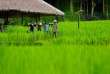 Laos - Descente du Mekong et villages de minorités - Balade dans les rizières du Kamu Lodge