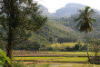 Laos - Les rizières des environs
