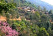 Laos - Village et maisons traditionnelles Kamu