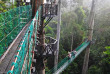 Malaisie - Circuit la Dannum Valley - Marche sur la canopé aux alentours du Borneo Rainforest Lodge