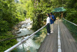 Malaisie - Le Mont Kinabalu - Balade à Poring