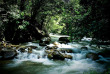 Malaisie - A la découverte du Taman Négara - Les rivières du Taman Negara