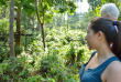 Malaisie - Observation des orangs-outans depuis la plateforme © Jolence Lee