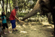 Népal – Visite au Camp des éléphants © Machan Country Villa