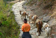 Népal - Sur les sentiers des montagnes népalaises