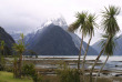 Nouvelle Zélande - Milford Sound
