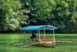 Philippines - Promenade en Bangka sur la rivière Loboc à Bohol